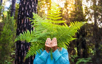 ¿Qué es Earthing? ¿Porque está ayudando a millones de personas a recuperar su salud desde su cama?