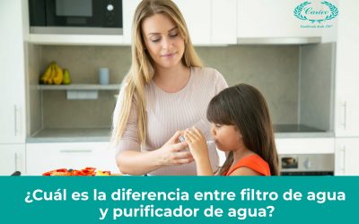 ¿Cuál es la diferencia entre filtro de agua y purificador de agua?